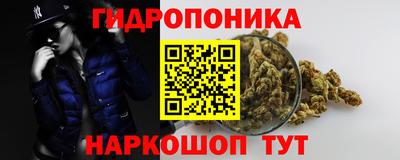 тгк Краснодар
